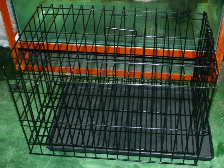 For Sale VivariumEnclosureAquariumCages For SaleJava Cebu